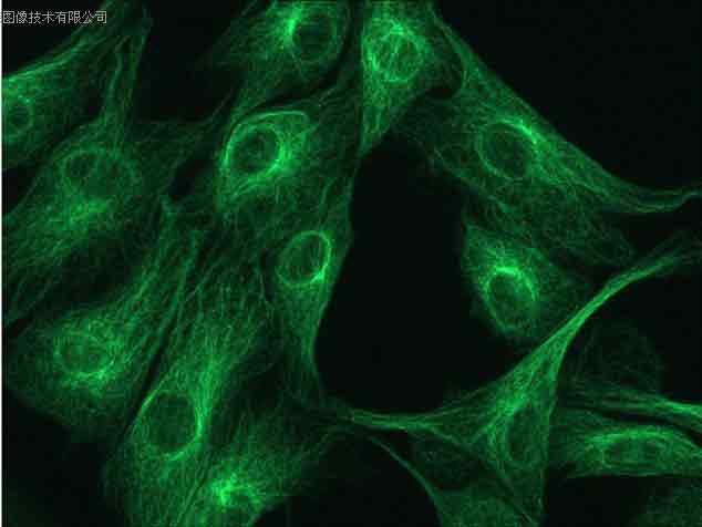 圖森相機德國使用效果圖
