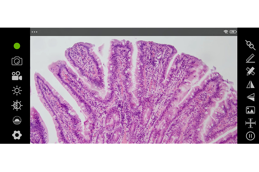 支持無線Wi-Fi功能