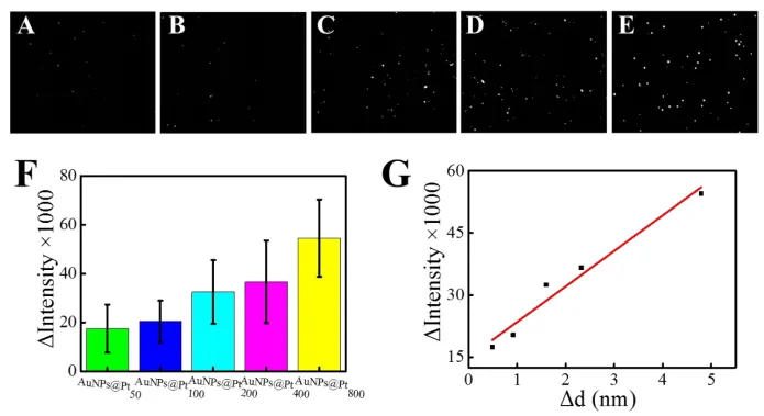 Dhyana 400DC for dark field microscopy