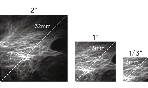100ke-高滿阱，高動態優勢