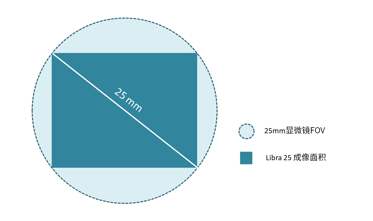 大靶面/高分辨率<br>適配現(xiàn)代光學(xué)顯微系統(tǒng)