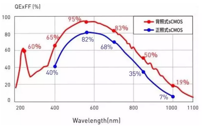 什么是量子效率？如何影響科學相機的成像質量呢？